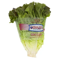 Lettuce Red Leaf Bag