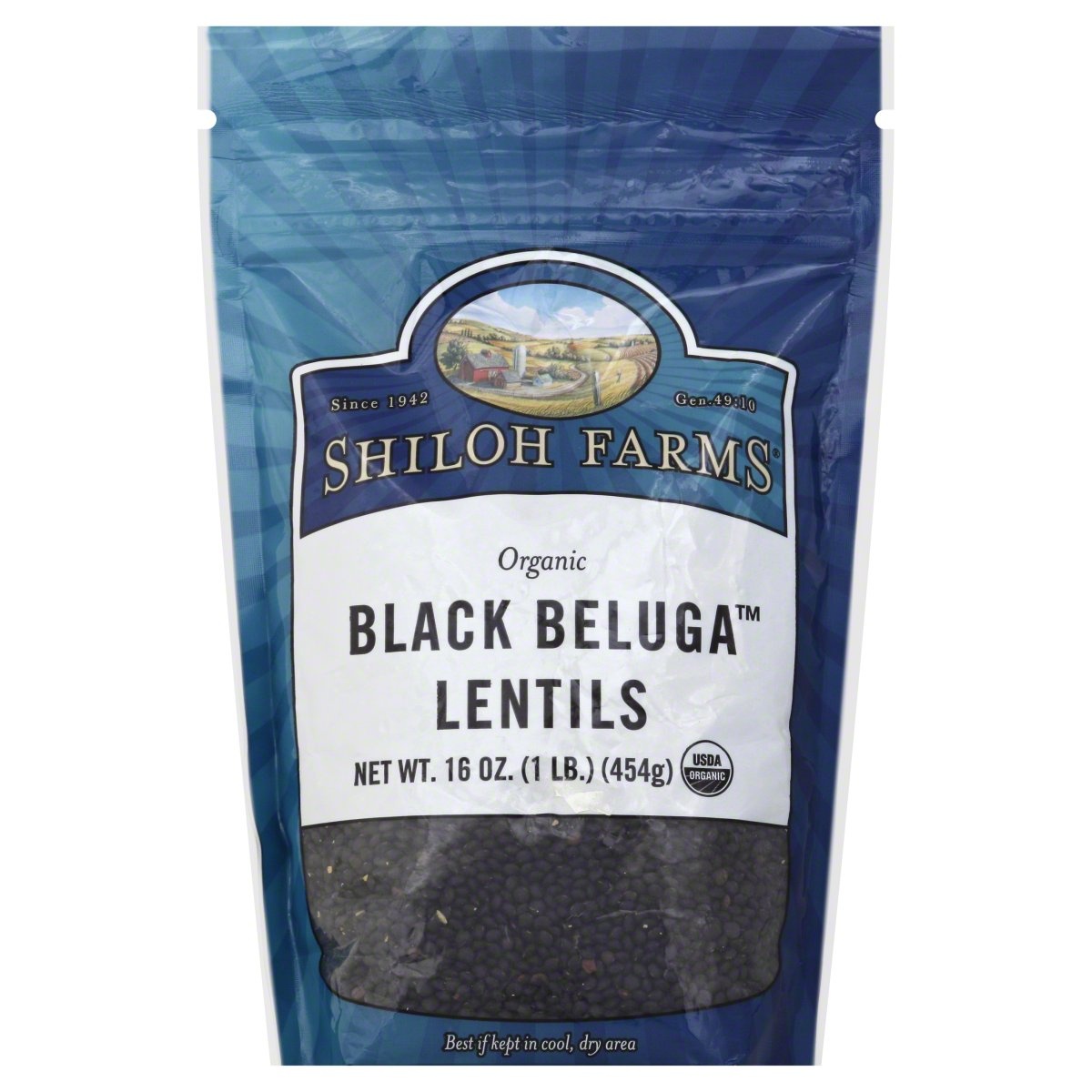 slide 1 of 1, Shiloh Farms Lentils Black Beluga Org, 16 oz