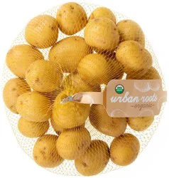 Urban Roots Organic Gold "Pee-Wee" Creamers