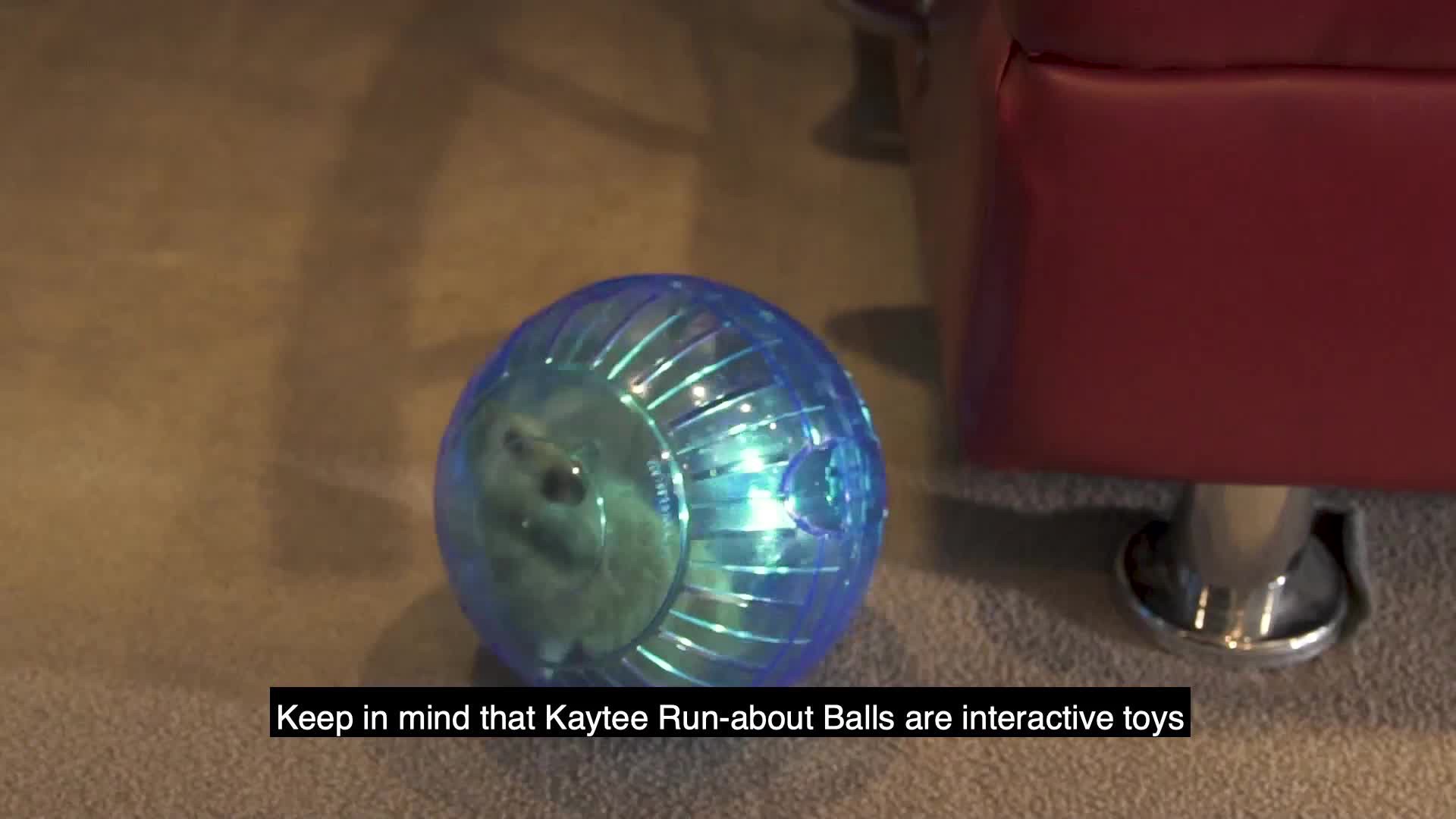 slide 8 of 9, Kaytee Hard Goods Kaytee Run-About Ball Rainbow With With Led Light Rainbow 7 Inches, 1 ct
