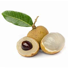 Main Plu Longan Fruit