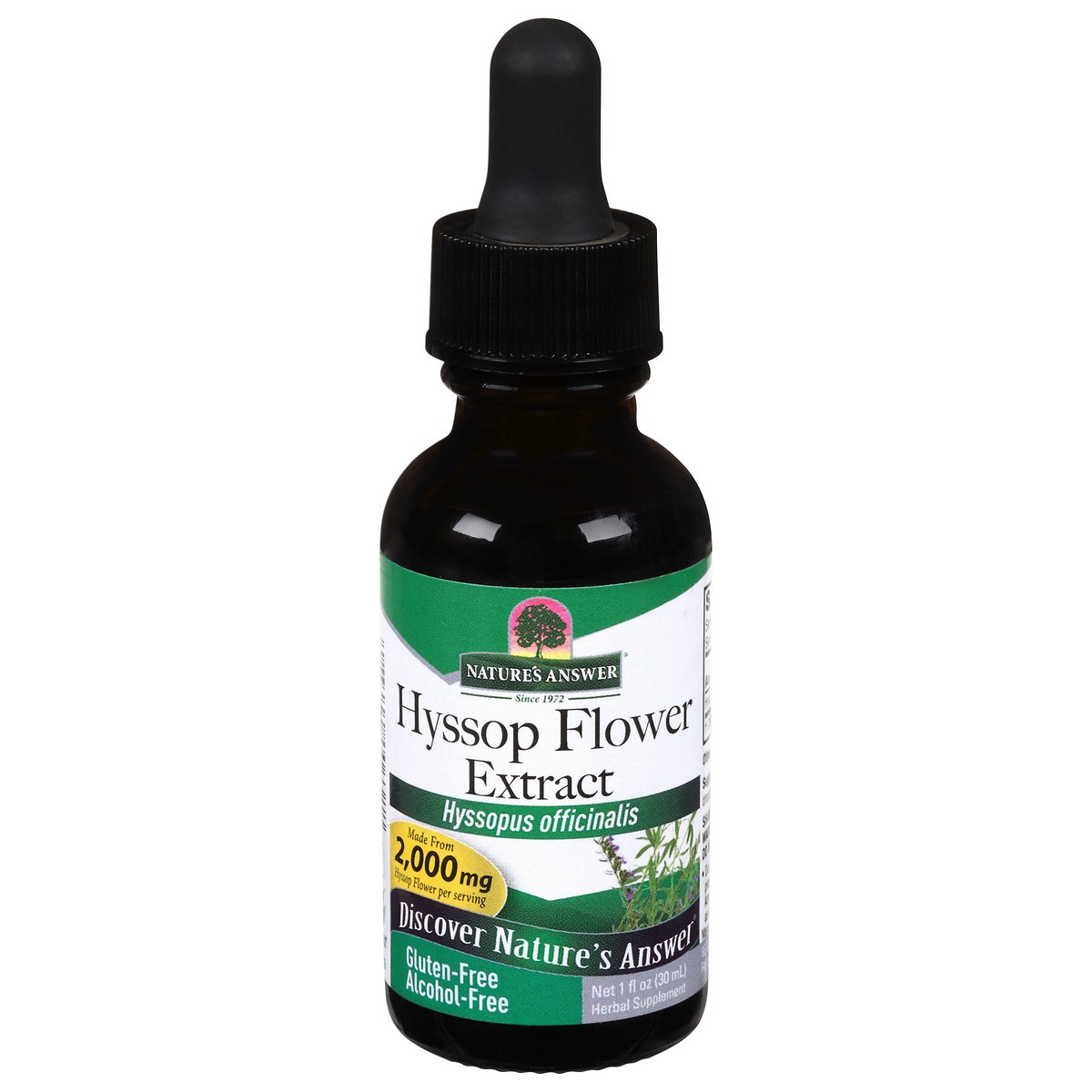 slide 1 of 9, Nature's Answer 2000 mg Hyssop Flower Extract 1 fl oz, 1 fl oz
