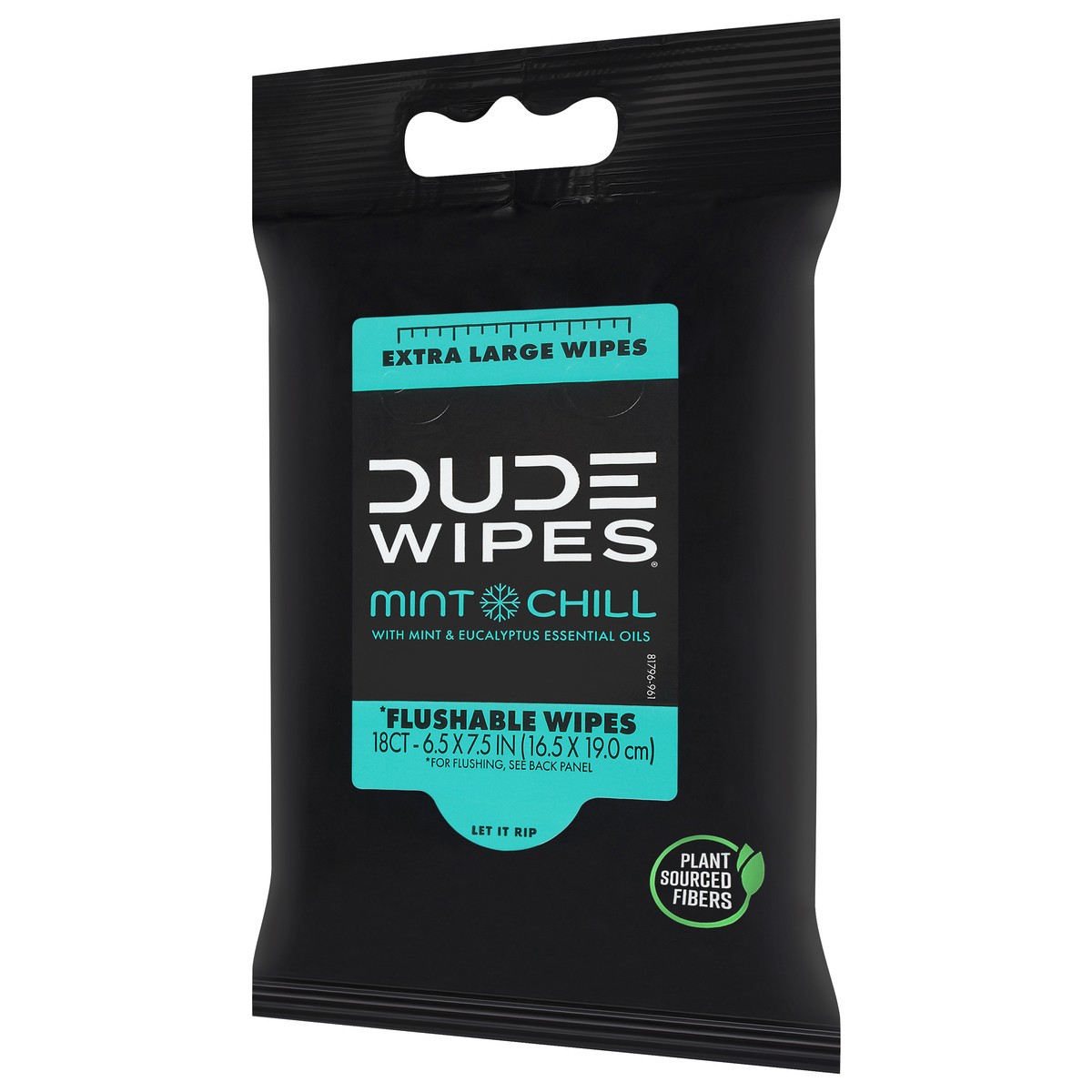 slide 9 of 11, DUDE Mint Chill Flushable Wipes Extra Large 18 ea, 18 ct