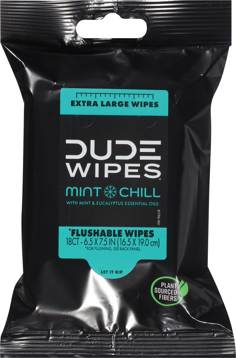 slide 2 of 11, DUDE Mint Chill Flushable Wipes Extra Large 18 ea, 18 ct