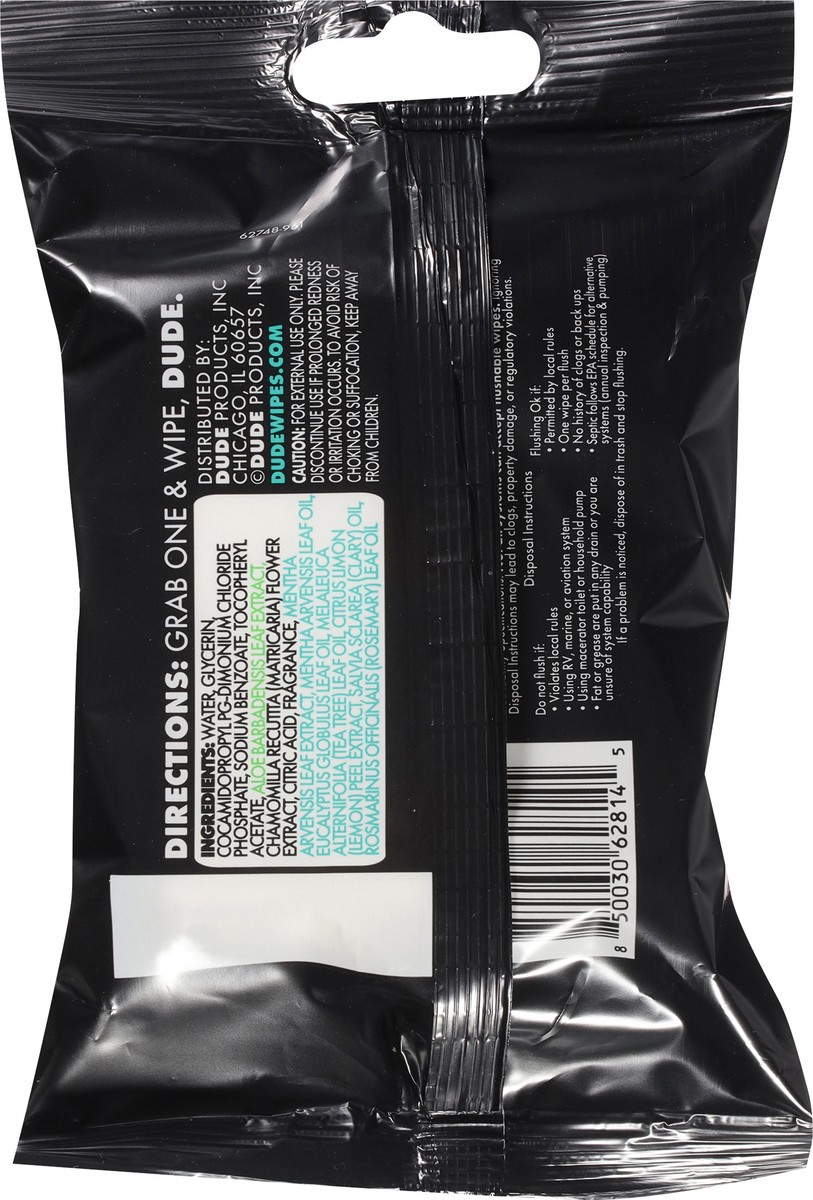 slide 11 of 11, DUDE Mint Chill Flushable Wipes Extra Large 18 ea, 18 ct