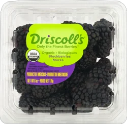 Organic Blackberries