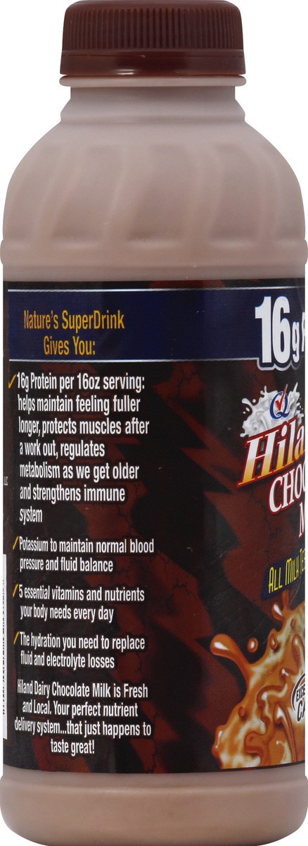 slide 4 of 8, Hiland Dairy Pint Choc Premium, 16 fl oz