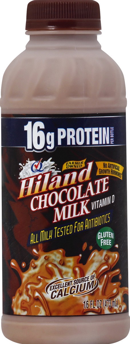 slide 1 of 8, Hiland Dairy Pint Choc Premium, 16 fl oz