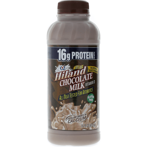 Hiland Dairy Premium Plus Chocolate Milk 16 fl oz Shipt