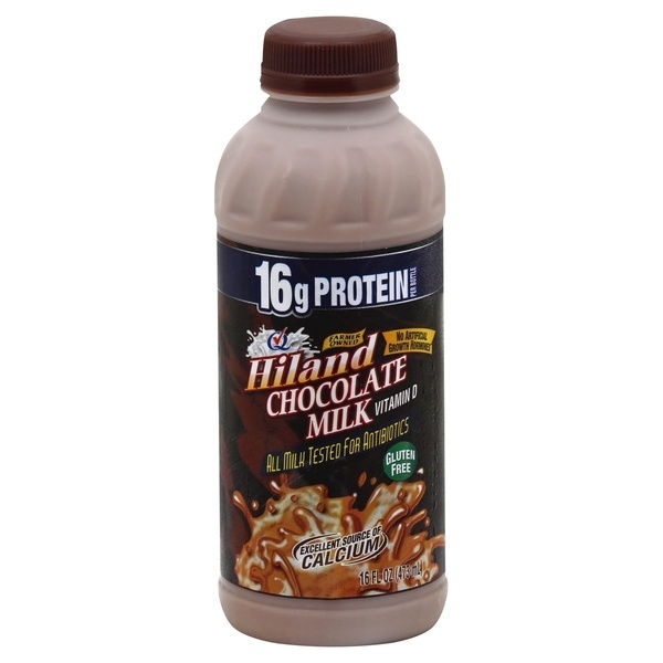 slide 1 of 1, Hiland Dairy Premium Plus Chocolate Milk, 16 fl oz