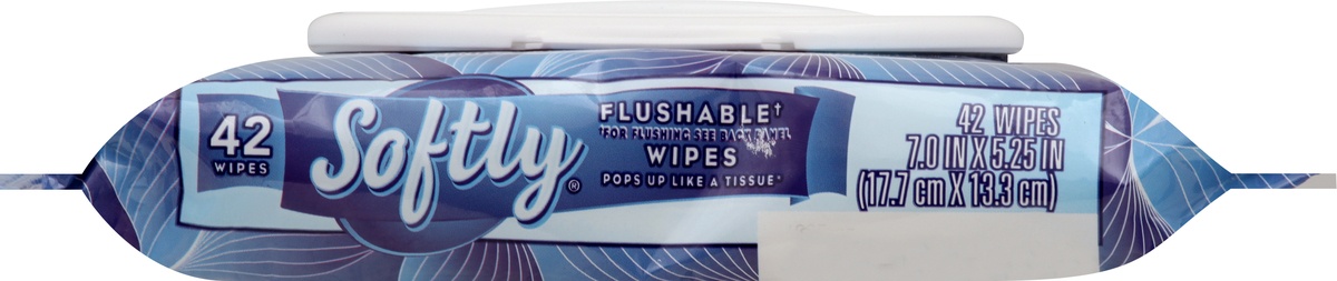 slide 3 of 7, Signature Select Softly Flushable Wipes 42 ea,
