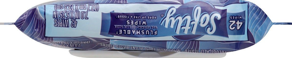 slide 7 of 7, Signature Select Softly Flushable Wipes 42 ea,