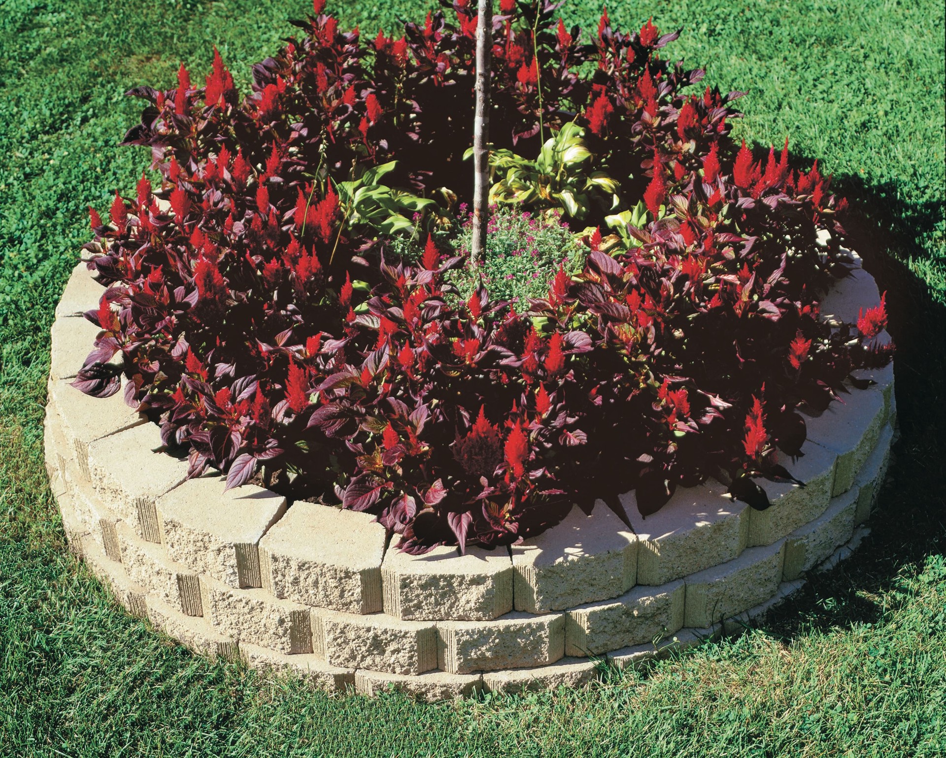 slide 6 of 6, 4.0-in H x 11.5-in L x 8.0-in D Gray Concrete Retaining wall block, 1 ct