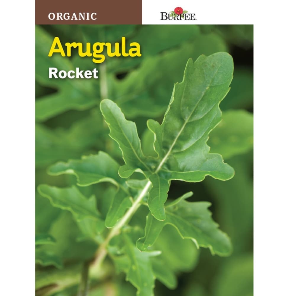 slide 1 of 1, Burpee Organic Arugula Rocket, 1 ct