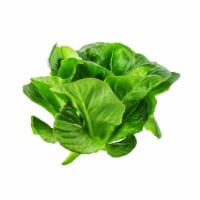 slide 1 of 1, Washinton Apples Mixed Fruit, 4 lb