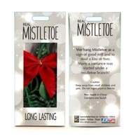 slide 1 of 1, Mistletoe In Display Box, 1 ct