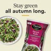 slide 10 of 25, Taylor Farms Sweet Kale Chopped Kit, 12 oz