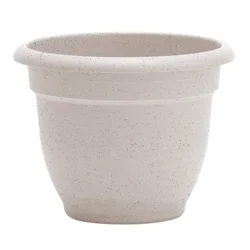 Bloem Ariana 10 Inch Vanilla Bean Planter