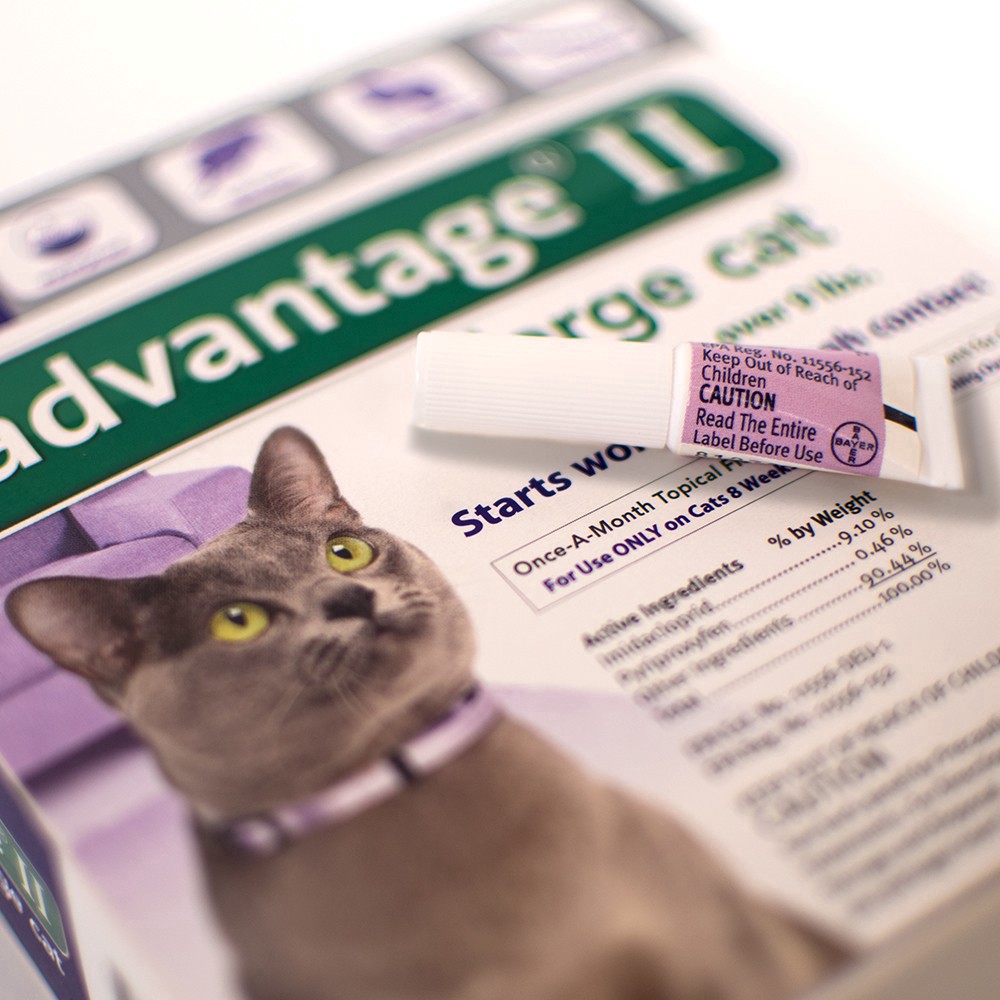 slide 5 of 5, advantage Bayer Advantage II Topical Flea Prevention and Treatment - Large Cats - 4pk, 4 ct