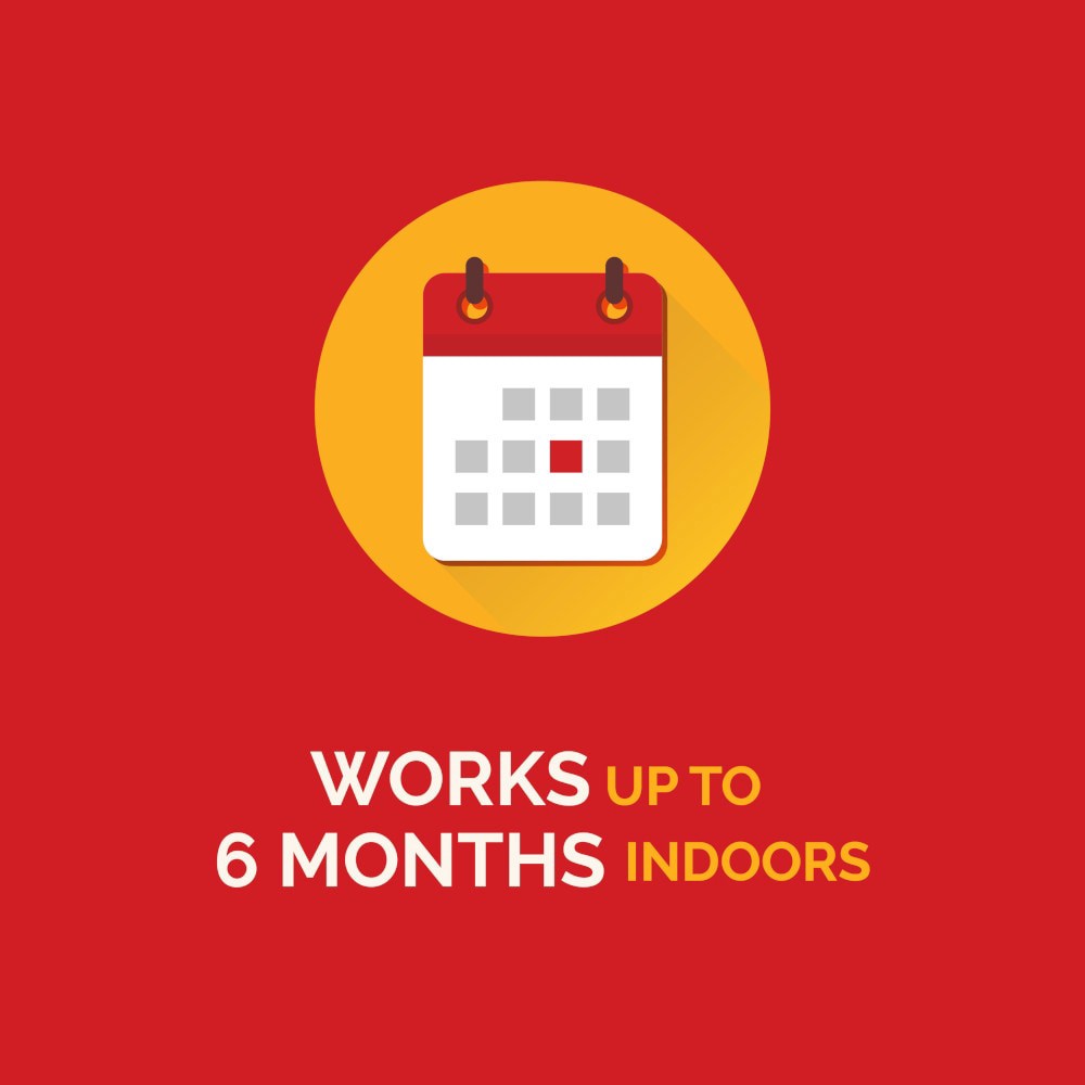 slide 4 of 6, Hot Shot MaxAttrax 4 -Count Ant bait 4 -Pack, 1 ct