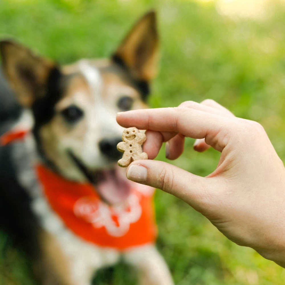 slide 58 of 81, Buddy Biscuits Treats for Dogs 5 oz, 5 oz