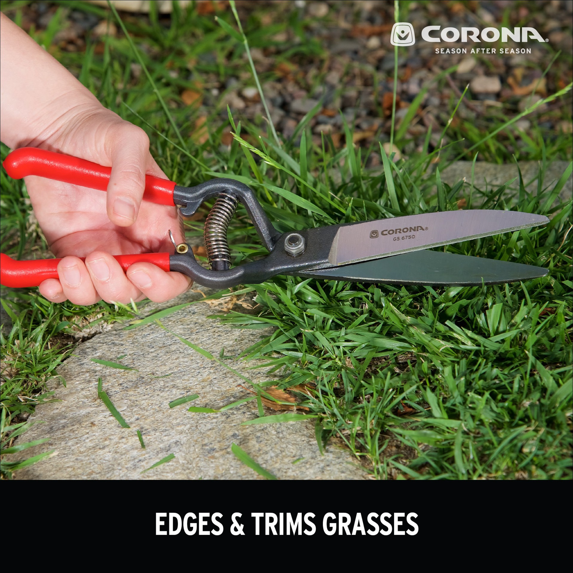slide 6 of 6, Corona Max Series 6.0-in Grass Shears - Forged Steel Blade, Spring-Loaded Handles, Non-Slip Coated Handles, 1 ct
