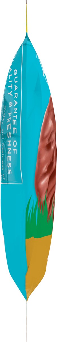 slide 6 of 14, RUSSELL STOVER Easter Caramel Milk Chocolate Easter Egg, 1.3 oz., 1.3 oz
