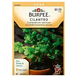 Burpee Herb Cilantro - EACH