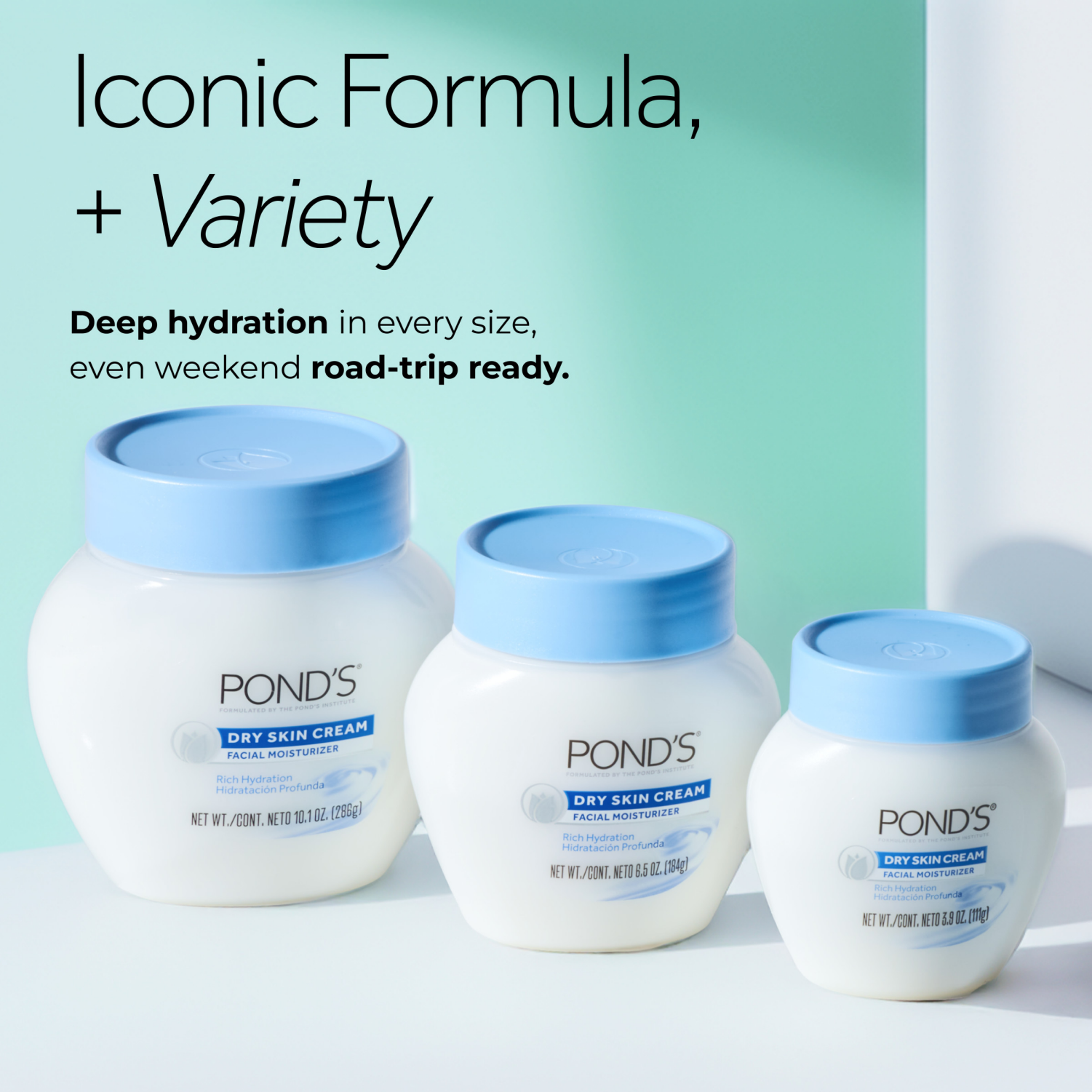 slide 2 of 8, Pond's Dry Skin Cream Facial Moisturizer 6.5 oz, 6.50 oz