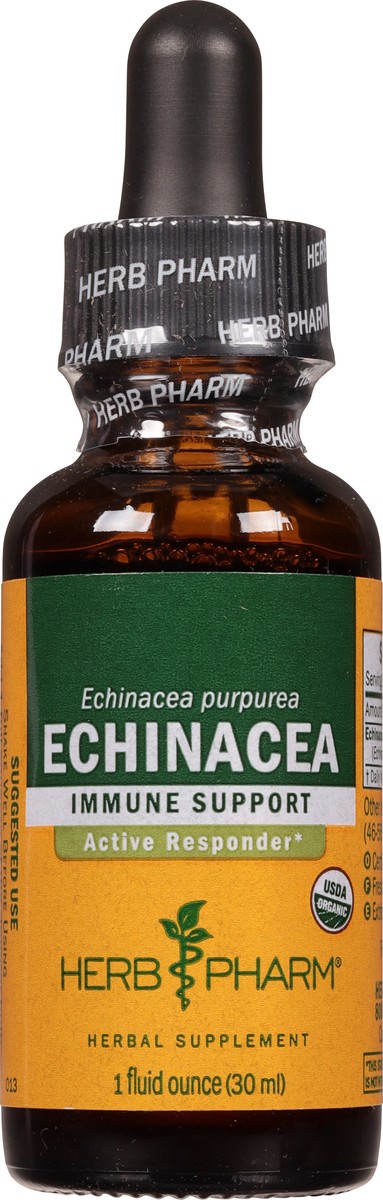 slide 2 of 9, Herb Pharm Immune Support Echinacea 1 fl oz, 1 fl oz