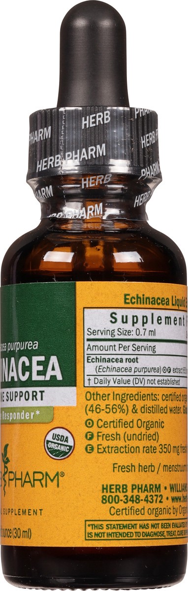 slide 5 of 9, Herb Pharm Immune Support Echinacea 1 fl oz, 1 fl oz