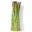 Green Asparagus