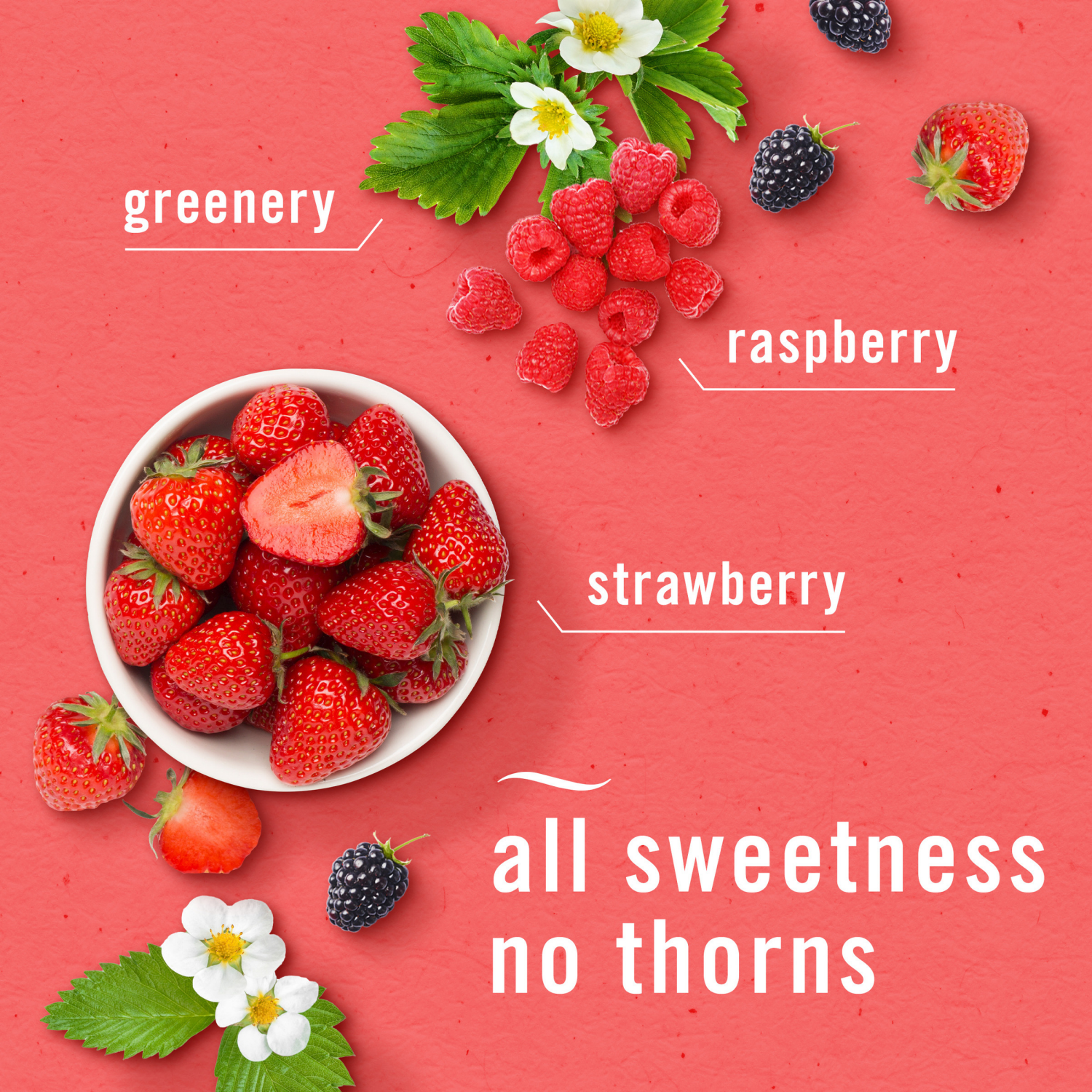 slide 5 of 8, Febreze Plug Triple Refill Air Freshener Berry & Bramble - 3ct, 3 ct