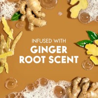 slide 16 of 29, Head & Shoulders 2 in 1 Ginger Shampoo + Conditioner 28.2 fl oz, 28.20 fl oz