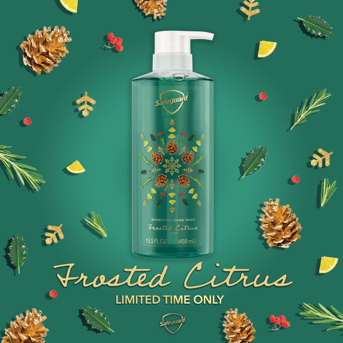 slide 16 of 21, Safeguard Hand Wash - Frosted Citrus Scent, 15.5 oz