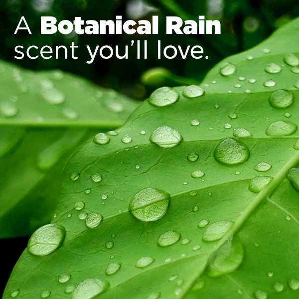 slide 7 of 29, Tide + Power Pods Febreze Botanical Rain Detergent 45 ea, 45 ct