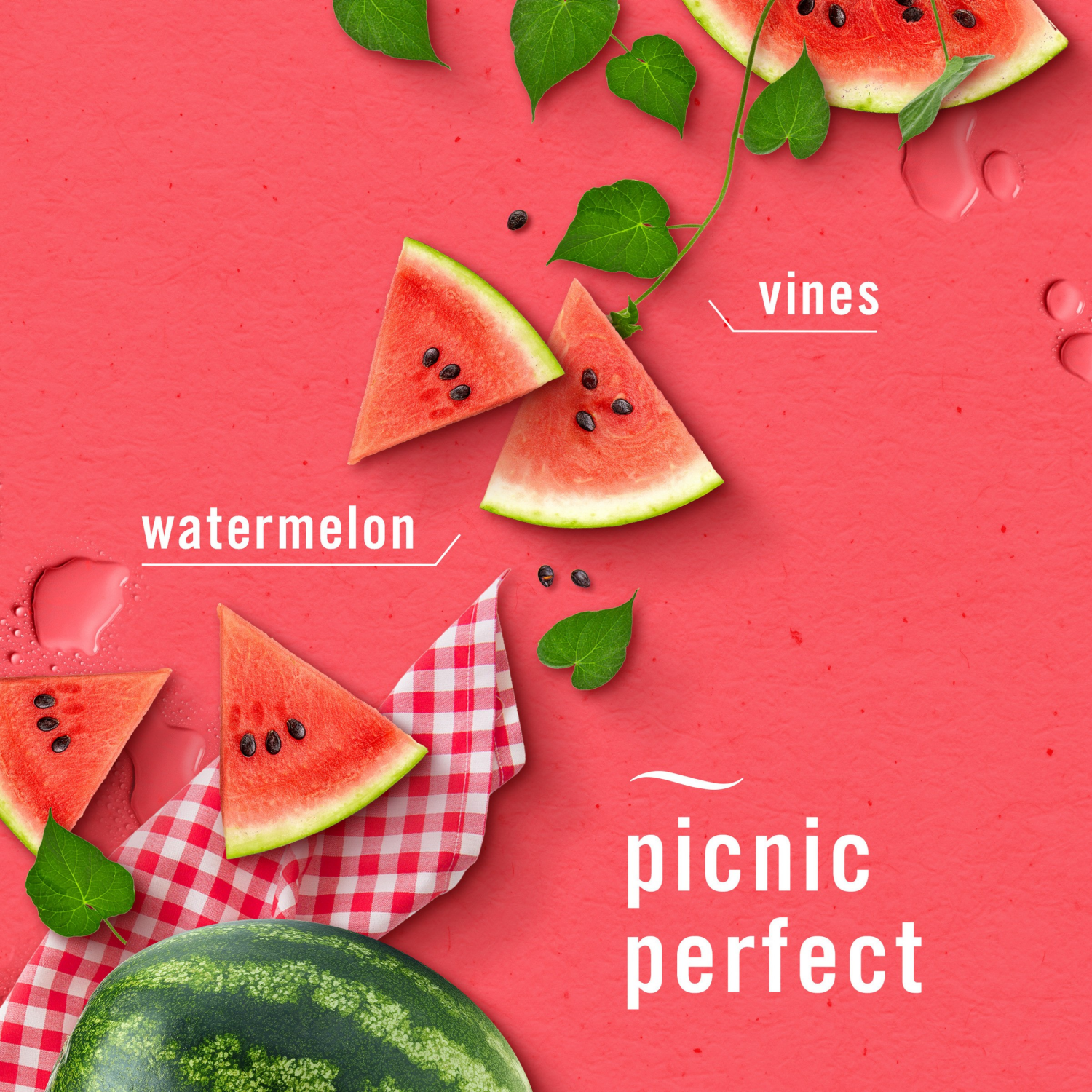 slide 5 of 8, Febreze Plug Dual Refill Air Freshener Sweet Watermelon Vine - 2ct, 2 ct