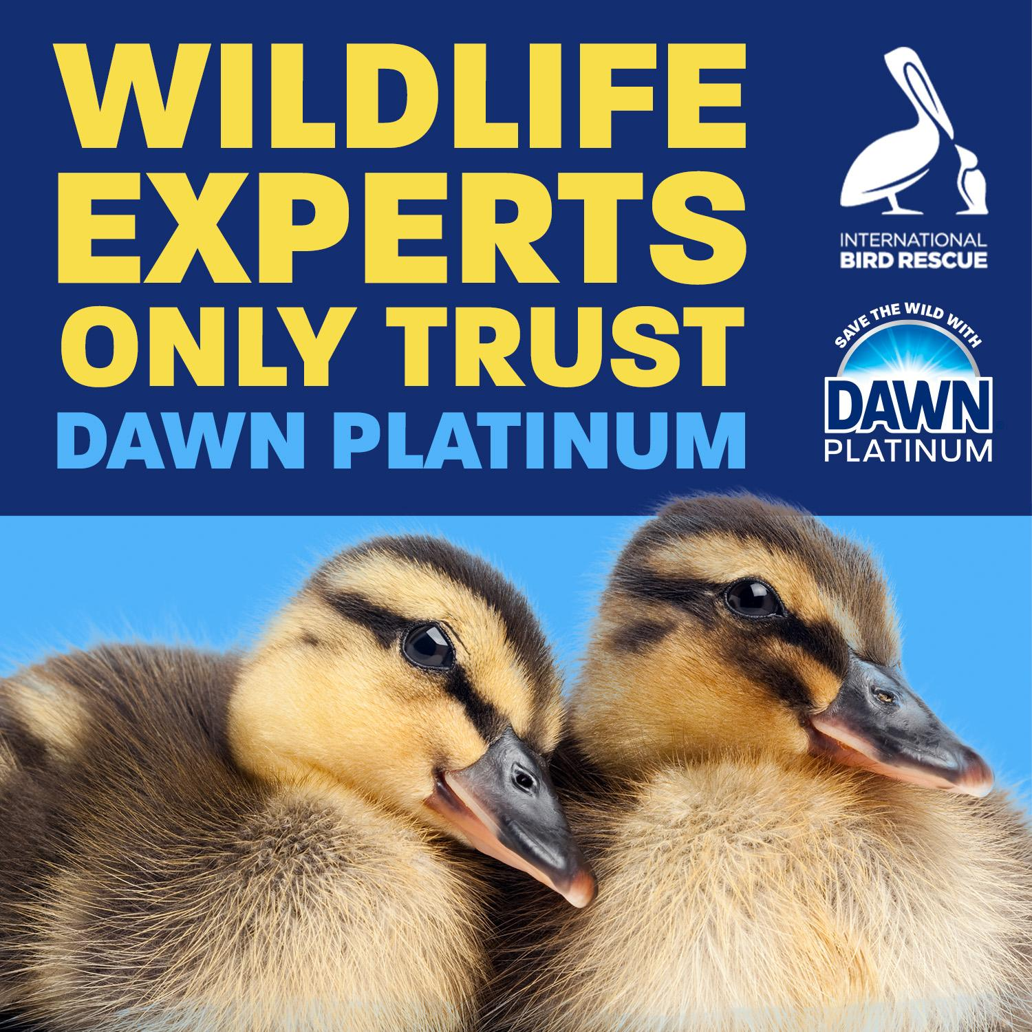 slide 8 of 8, Dawn Platinum Dish Soap, Dishwashing Liquid, Fresh Rain, 6 fl oz