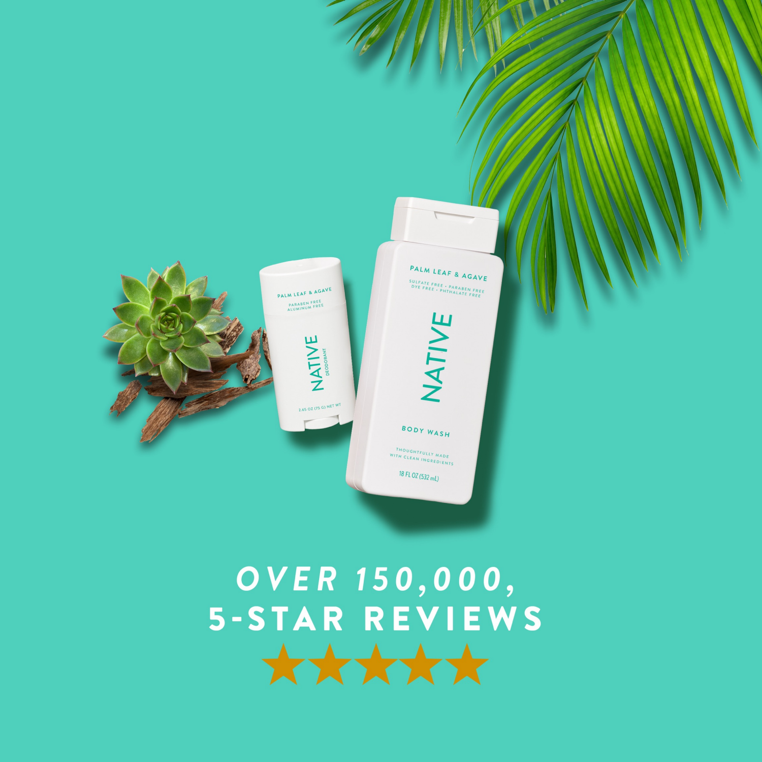 slide 8 of 8, Native Palm Leaf & Agave Body Wash 18 fl oz, 18 fl oz