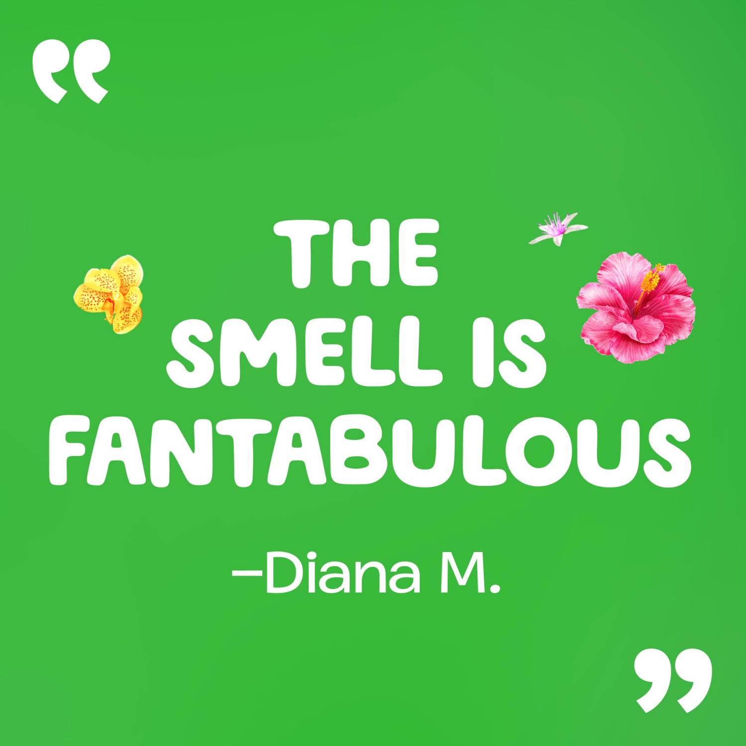 slide 2 of 8, Gain Happy Hibiscus Hula Laundry Detergent, 134 Load, 194 oz