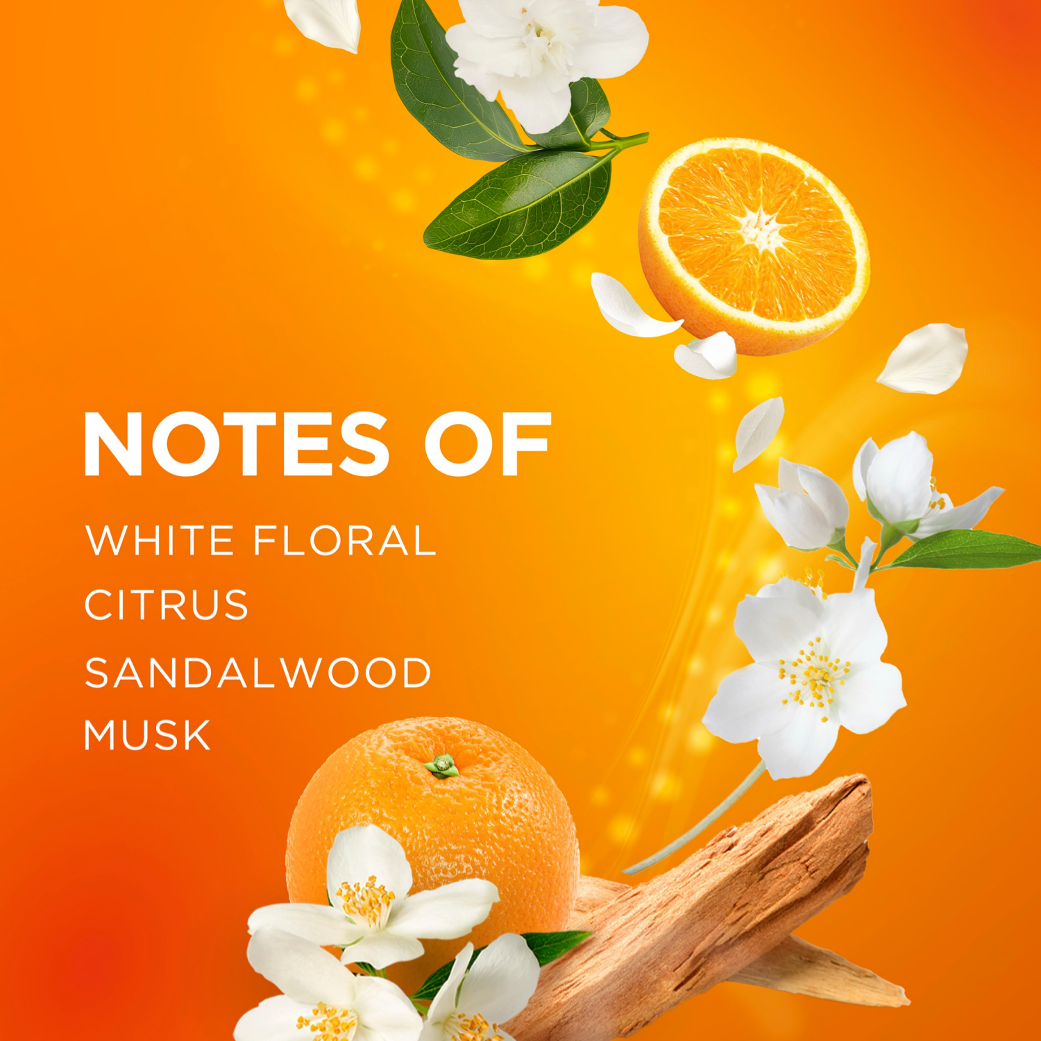 slide 8 of 8, Bounce Intense Dryer Sheets, Vibrant Fresh, 60 Count, Scent Boosting Dryer Sheet, 60 ct