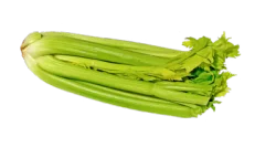 Organic Celery Bunch