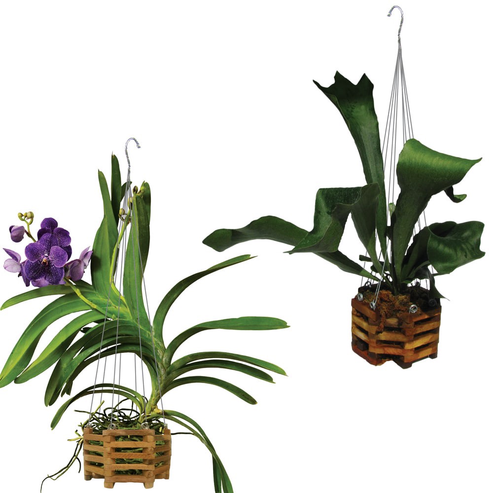 slide 2 of 2, Better-Gro 8.0-in W x 8.0-in L Brown Wood Hanging planter, 1 ct