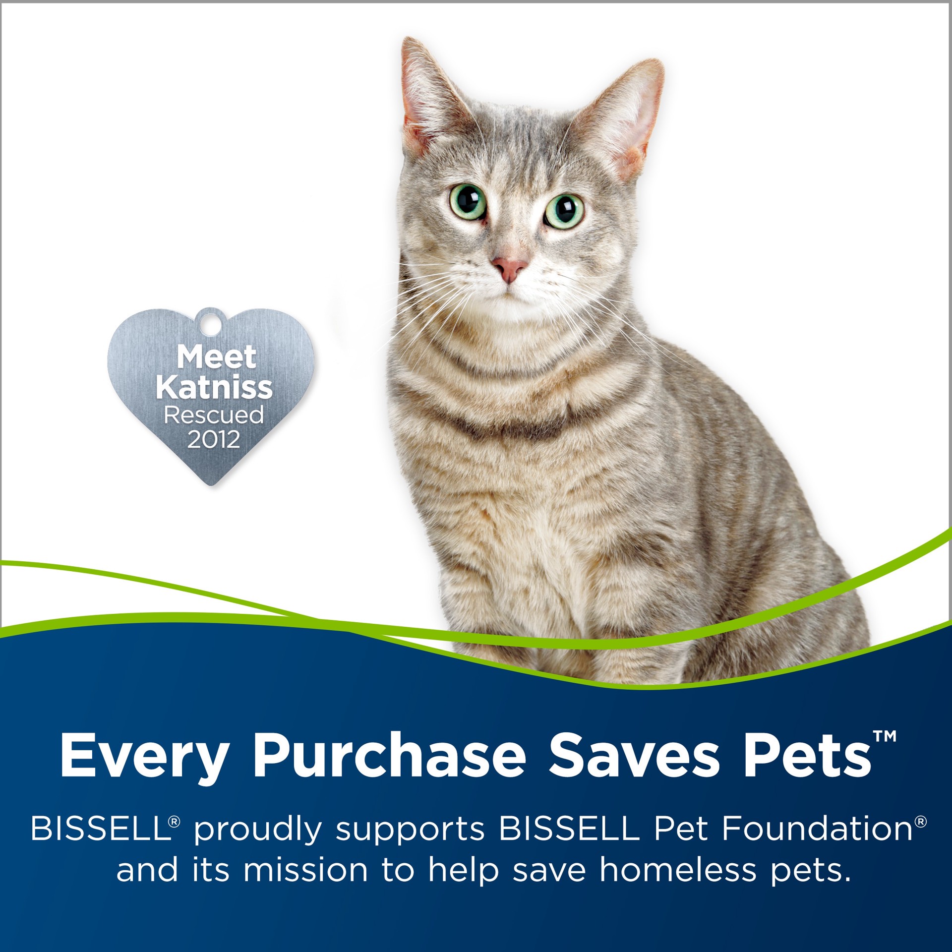 slide 3 of 6, BISSELL PET Spot and Stain-Portable Machine Use 32 -fl oz Concentrated Steam Cleaner Chemical Solution, 1 ct