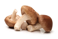 Terra Dolce Mushrooms Dried Shiitake