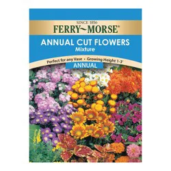 Ferry Morse Hollyhock