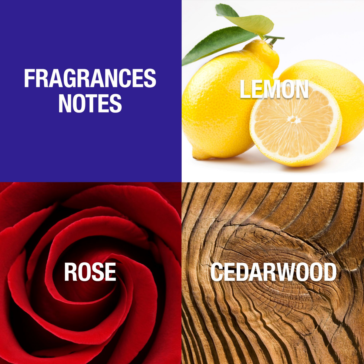 slide 4 of 4, Revlon Charlie Cologne Spray, 3.5 oz