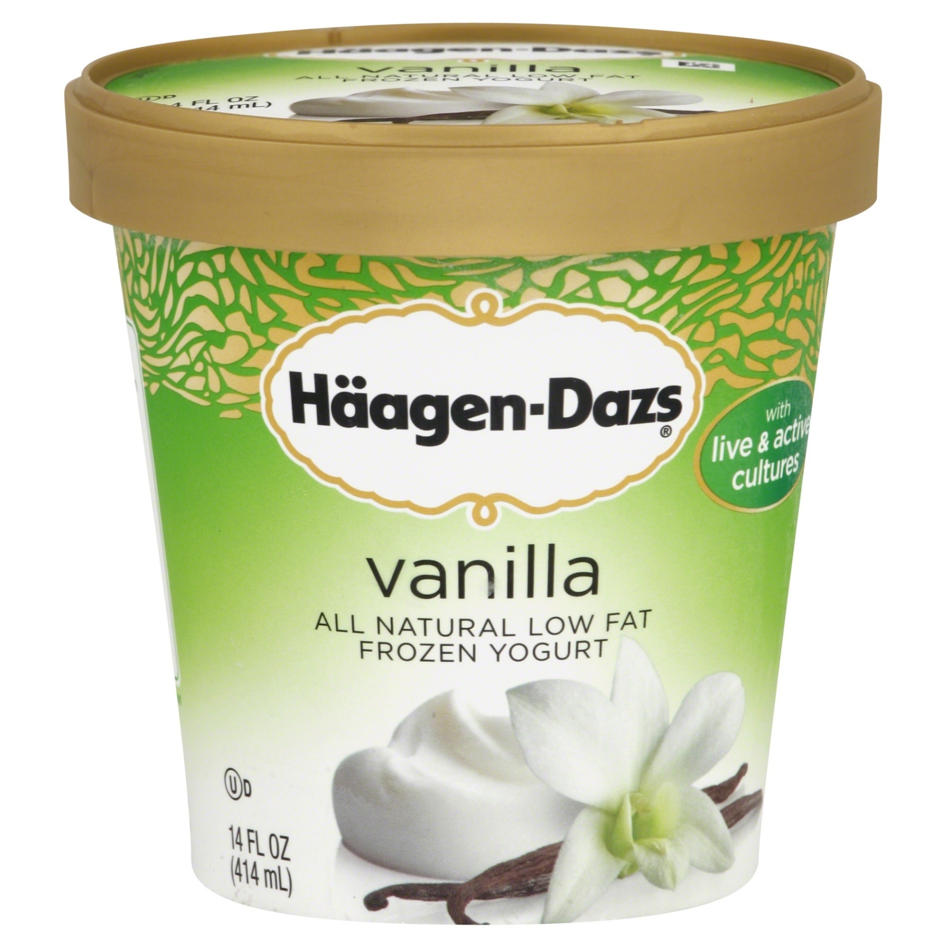 slide 1 of 2, Häagen-Dazs Vanilla Lowfat Frozen Yogurt , 14 oz