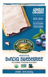 Nature's Path Organic Blueberry Frosted Toaster Pastries 11 oz Box