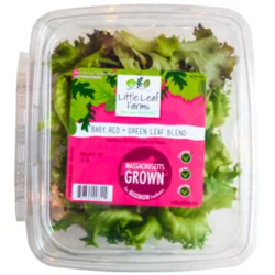 Little Leaf Farm Red/Grn Leaf